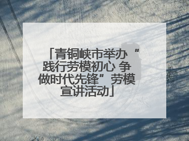 青铜峡市举办“践行劳模初心 争做时代先锋”劳模宣讲活动