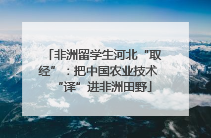 非洲留学生河北“取经”：把中国农业技术“译”进非洲田野