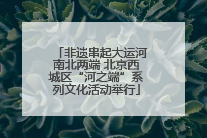 非遗串起大运河南北两端 北京西城区“河之端”系列文化活动举行