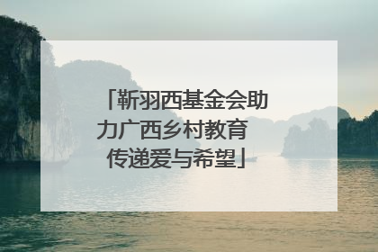 靳羽西基金会助力广西乡村教育 传递爱与希望