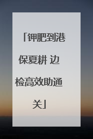 钾肥到港保夏耕 边检高效助通关