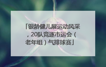 银龄健儿展运动风采，20队竞逐市运会（老年组）气排球赛