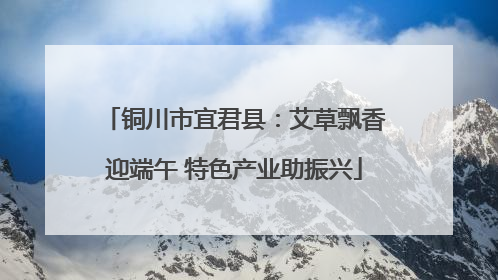 铜川市宜君县：艾草飘香迎端午 特色产业助振兴