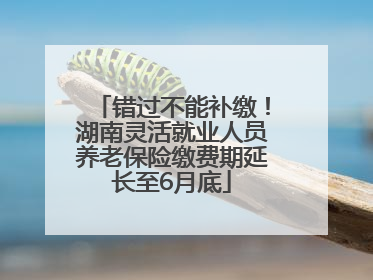 错过不能补缴！湖南灵活就业人员养老保险缴费期延长至6月底