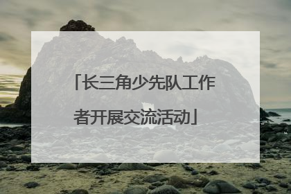 长三角少先队工作者开展交流活动