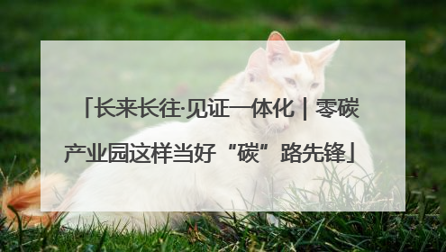 长来长往·见证一体化｜零碳产业园这样当好“碳”路先锋