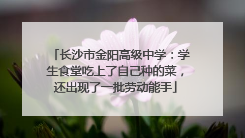 长沙市金阳高级中学：学生食堂吃上了自己种的菜，还出现了一批劳动能手