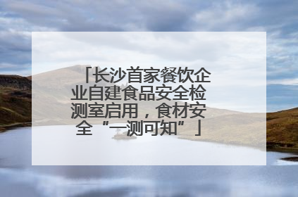 长沙首家餐饮企业自建食品安全检测室启用，食材安全“一测可知”