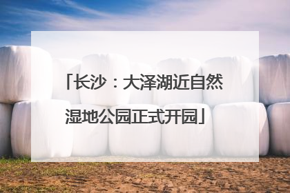 长沙：大泽湖近自然湿地公园正式开园