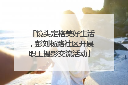 镜头定格美好生活，彭刘杨路社区开展职工摄影交流活动