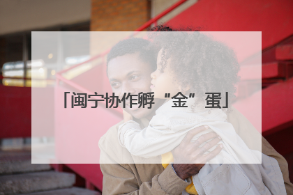 闽宁协作孵“金”蛋