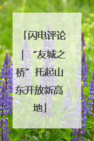 闪电评论｜“友城之桥”托起山东开放新高地