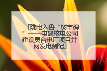 陇电入鲁“树丰碑”——电建核电公司建设灵台电厂项目并网发电侧记