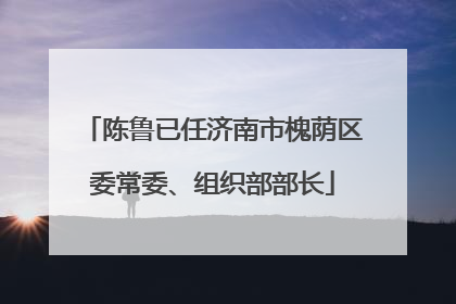 陈鲁已任济南市槐荫区委常委、组织部部长