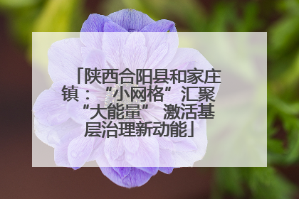陕西合阳县和家庄镇：“小网格”汇聚“大能量” 激活基层治理新动能