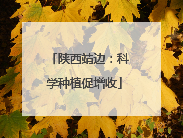 陕西靖边：科学种植促增收