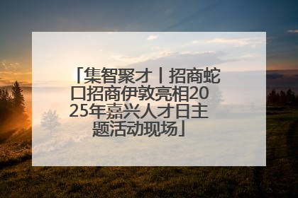 集智聚才丨招商蛇口招商伊敦亮相2025年嘉兴人才日主题活动现场