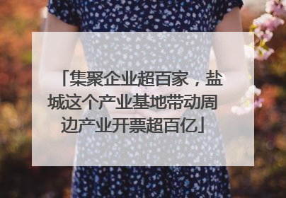 集聚企业超百家，盐城这个产业基地带动周边产业开票超百亿