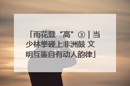 雨花登“高”③｜当少林拳碰上非洲鼓 文明互鉴自有动人韵律