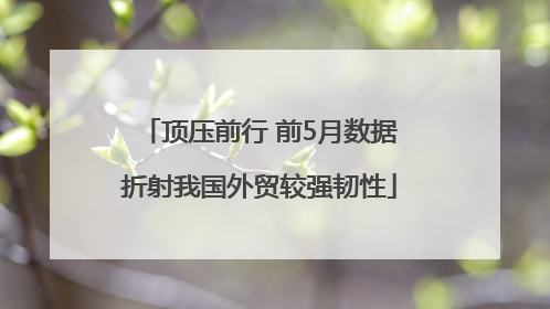 顶压前行 前5月数据折射我国外贸较强韧性