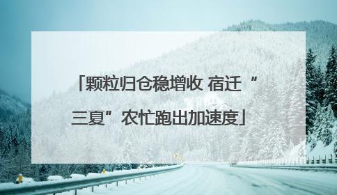 颗粒归仓稳增收 宿迁“三夏”农忙跑出加速度