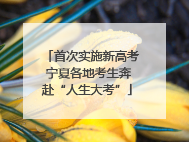 首次实施新高考 宁夏各地考生奔赴“人生大考”