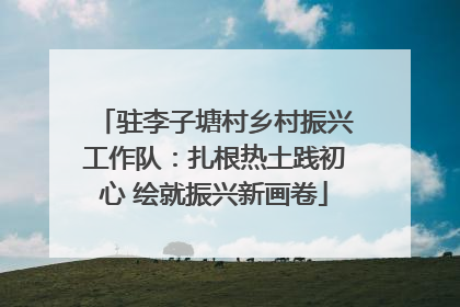驻李子塘村乡村振兴工作队：扎根热土践初心 绘就振兴新画卷