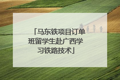马东铁项目订单班留学生赴广西学习铁路技术