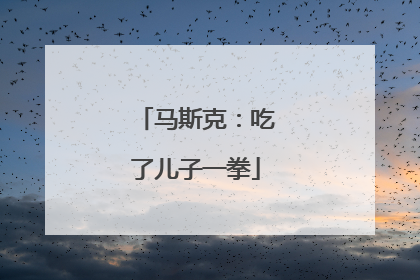 马斯克：吃了儿子一拳