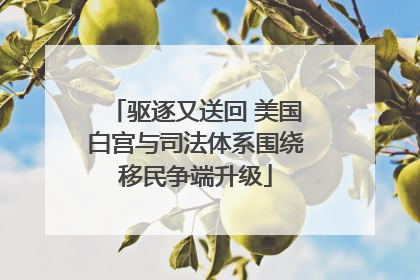 驱逐又送回 美国白宫与司法体系围绕移民争端升级