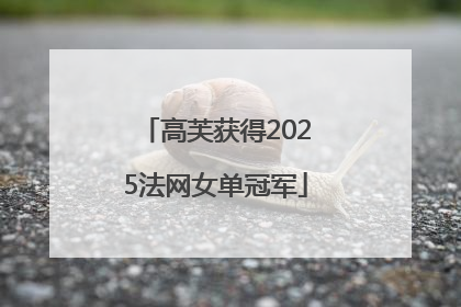 高芙获得2025法网女单冠军