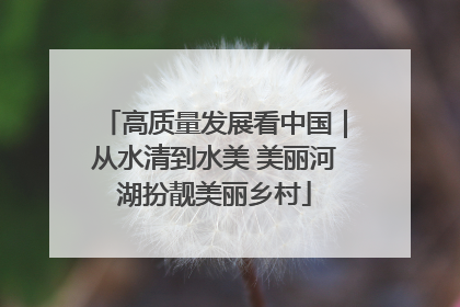 高质量发展看中国｜从水清到水美 美丽河湖扮靓美丽乡村