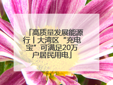 高质量发展能源行丨大湾区“充电宝”可满足20万户居民用电