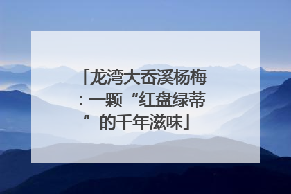 龙湾大岙溪杨梅：一颗“红盘绿蒂”的千年滋味