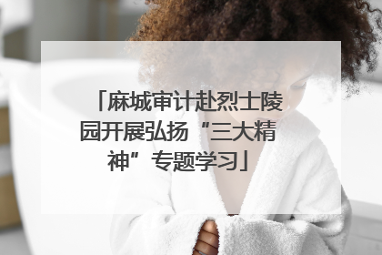 麻城审计赴烈士陵园开展弘扬“三大精神”专题学习