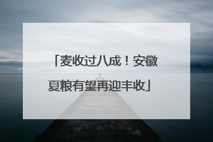 麦收过八成！安徽夏粮有望再迎丰收
