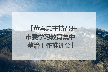 黄喜忠主持召开市委学习教育集中整治工作推进会