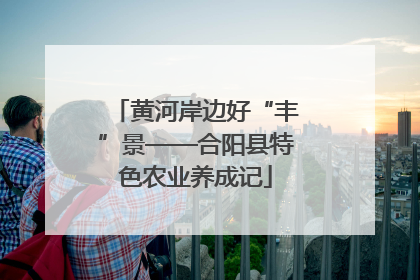 黄河岸边好“丰”景——合阳县特色农业养成记