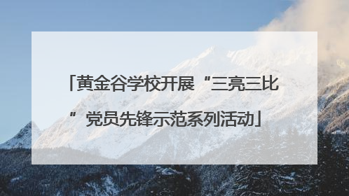 黄金谷学校开展“三亮三比”党员先锋示范系列活动