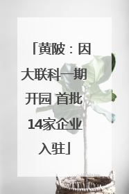 黄陂：因大联科一期开园 首批14家企业入驻