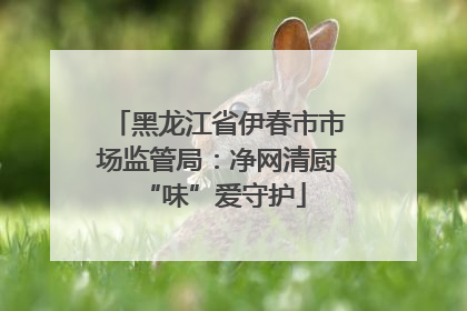 黑龙江省伊春市市场监管局：净网清厨 “味”爱守护