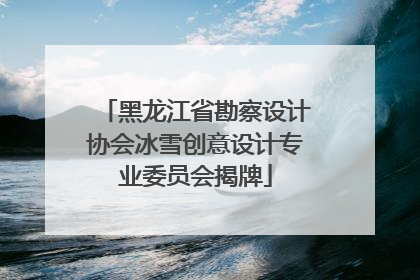 黑龙江省勘察设计协会冰雪创意设计专业委员会揭牌