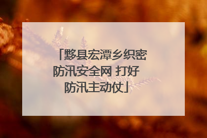 黟县宏潭乡织密防汛安全网 打好防汛主动仗