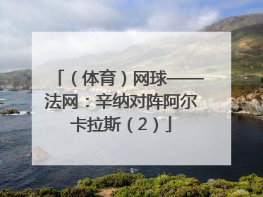（体育）网球——法网：辛纳对阵阿尔卡拉斯（2）