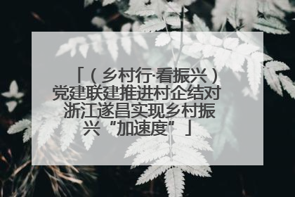 （乡村行·看振兴）党建联建推进村企结对 浙江遂昌实现乡村振兴“加速度”