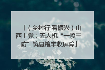 （乡村行·看振兴）山西上党：无人机“一喷三防”筑夏粮丰收屏障