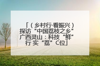 （乡村行·看振兴）探访“中国荔枝之乡”广西灵山：科技“鲜”行 实“荔”C位