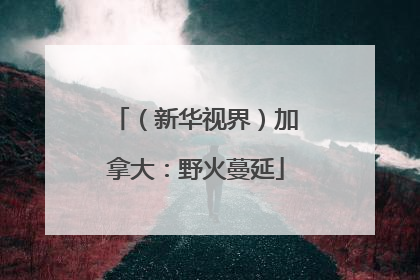 （新华视界）加拿大：野火蔓延