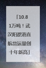 10.81万吨！武汉阳逻港直航货运量创十年新高