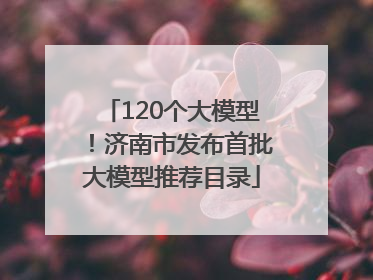120个大模型！济南市发布首批大模型推荐目录
